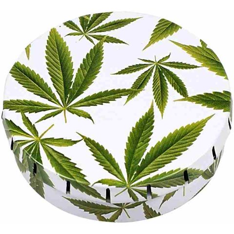 Click-Clack Box Leaves