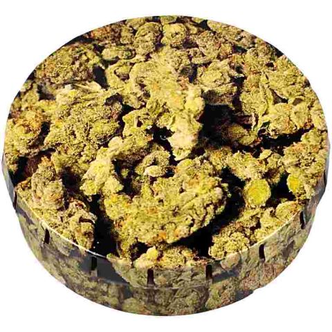 Click-Clack Box Buds