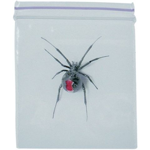Red Back Spider Bag