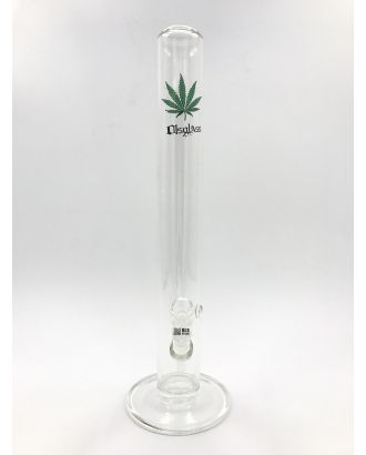 OLS FULL GLASS CYLINDER WITH GREEN LEAF