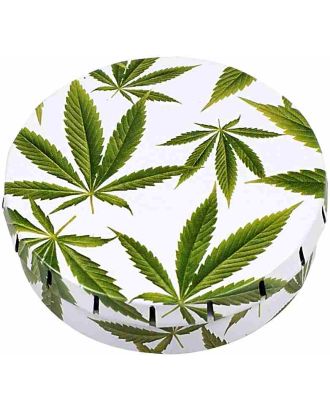 Click-Clack Box Leaves