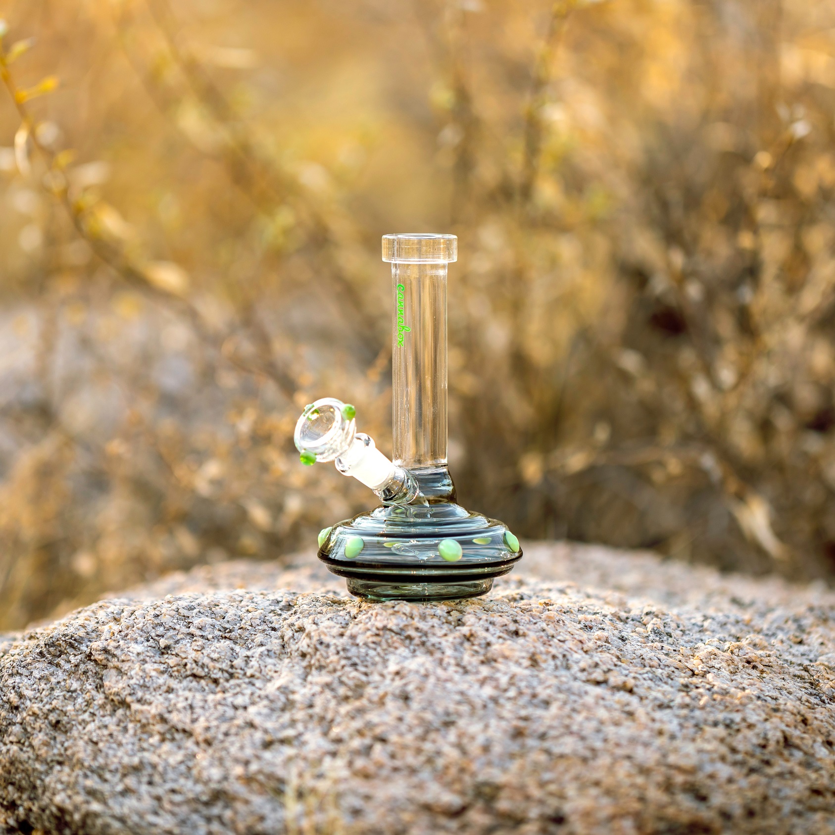 Which Bong Style is Best?